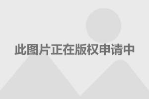 上海地铁安检查获匪用炸弹 堪称史上最牛违禁品 真相在此