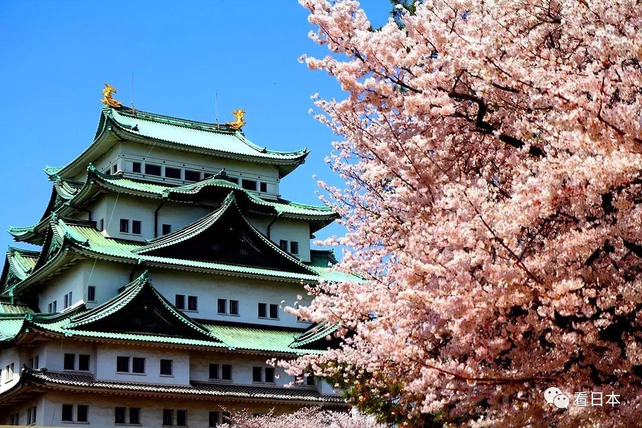中国人最爱去的日本10大城市 光看照片就已经
