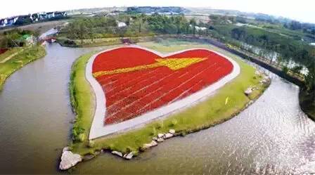 周浦镇 人口_周浦镇地图