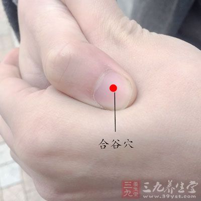这个穴位位于大拇指和食指之间的虎口上