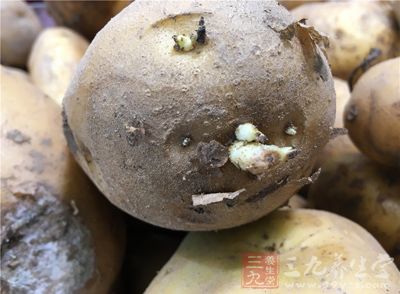 将土豆发芽的部分给丢弃，留下没有发芽的部分食用，这样做是否有可能会食物中毒