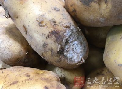 表皮粗糙有虫洞、存在水泡或者霉变的土豆便不能购买