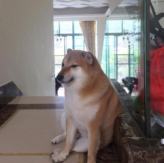 IMG2c4d546640ec64258686047.png