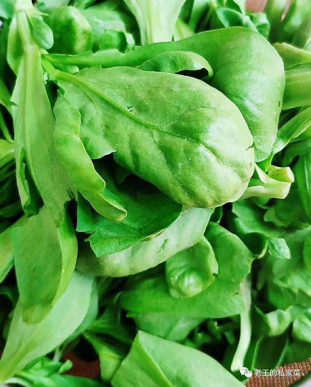 蓬蒿菜拌香干味道鲜美 是一道非常好吃的绿色蔬菜 而且有营养