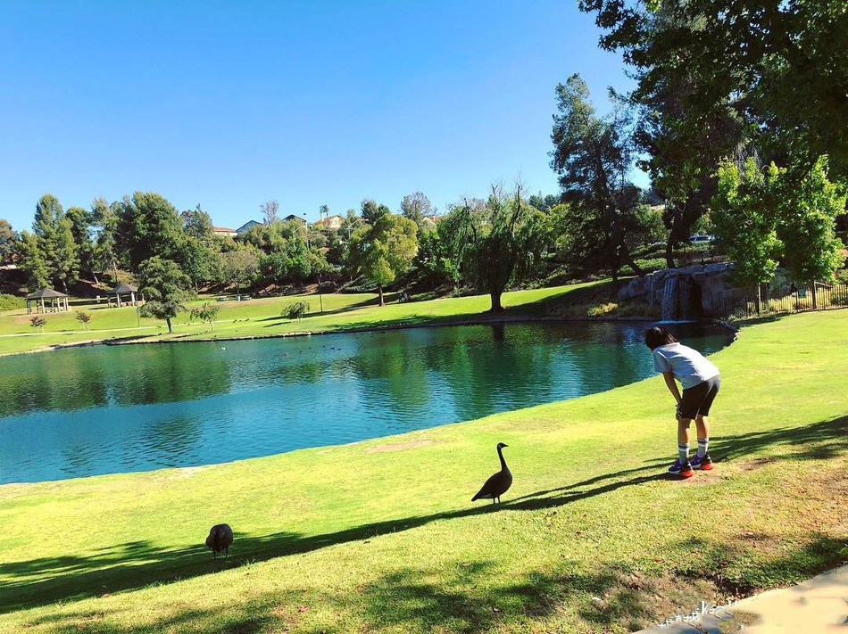 Kimi在公园玩耍 与鸭鸭一同长大--上海热线侬好