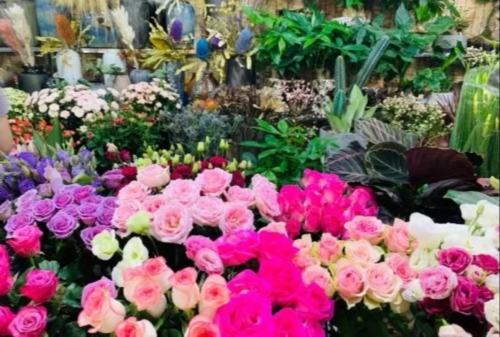 IMG0025116ac9cd51395420425.png