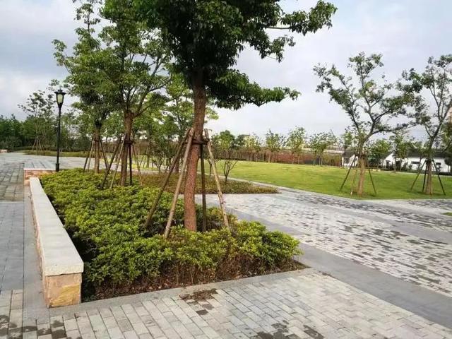 【探索】宝山这3座公园为周边居民提供休闲新空间