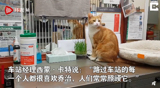 火车站可以带猫吗 IMG0025116bbe565756432827.png